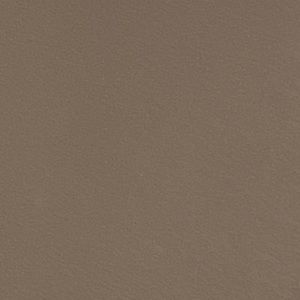 Meet your Posher, Rayne